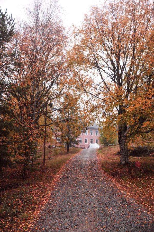 B&B Gillhov&Camping Svenstavik Eksteriør bilde