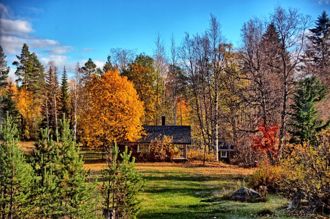 B&B Gillhov&Camping Svenstavik Eksteriør bilde