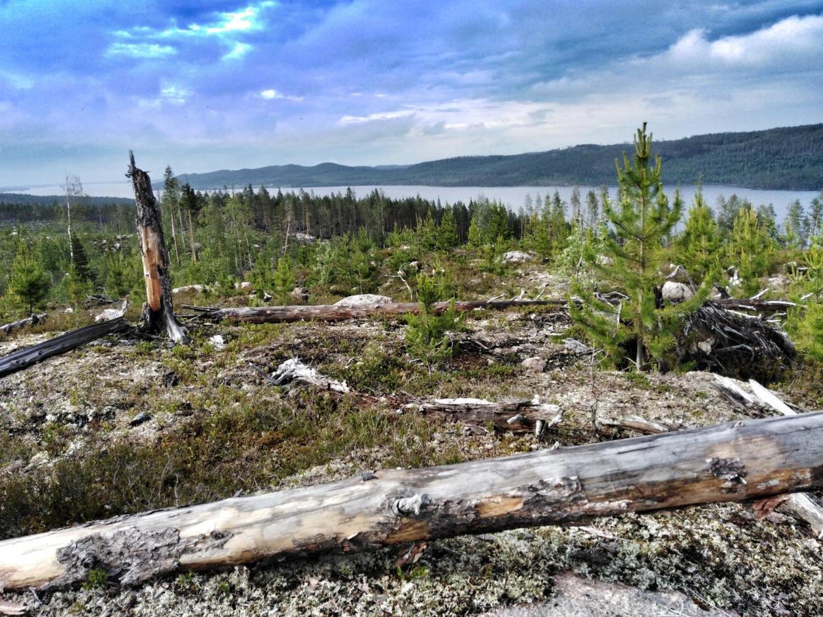 B&B Gillhov&Camping Svenstavik Eksteriør bilde